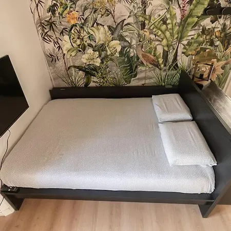 Apartamento L'exotique - Hypercentre - Gare *