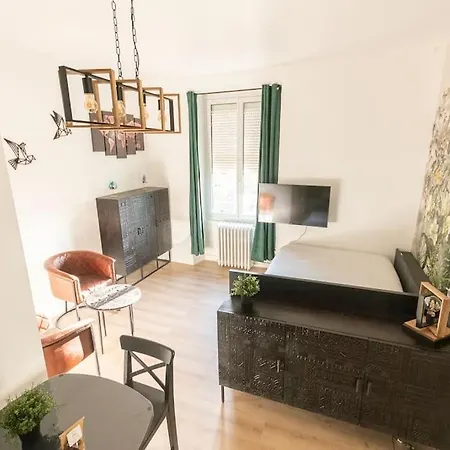 Apartamento L'exotique - Hypercentre - Gare Angers