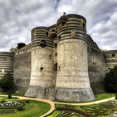 L'exotique - Hypercentre - Gare Angers